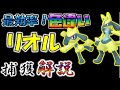 超効率!色違いリオル捕獲解説