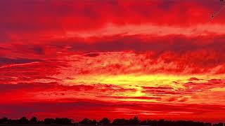 sunset 2021 mid west cornfield