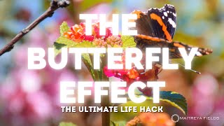 The Butterfly Effect / Energetically Programmed Audio