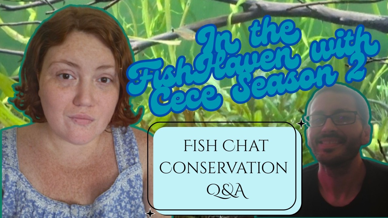 In The Fish Haven With Cece Season 2 Episode 4