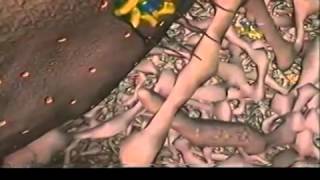 A Journey Inside The Cell