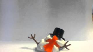 Melting Snowman (Time Lapse)