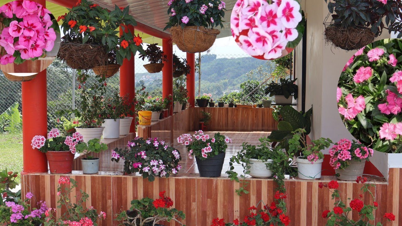 El JARDÍN DE ALEJANDRA 🌸🌿🌻🌺🌹