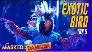 The Masked Dancer Exotic Bird Top Five - Mask The Night Away Performance Reaction And Review