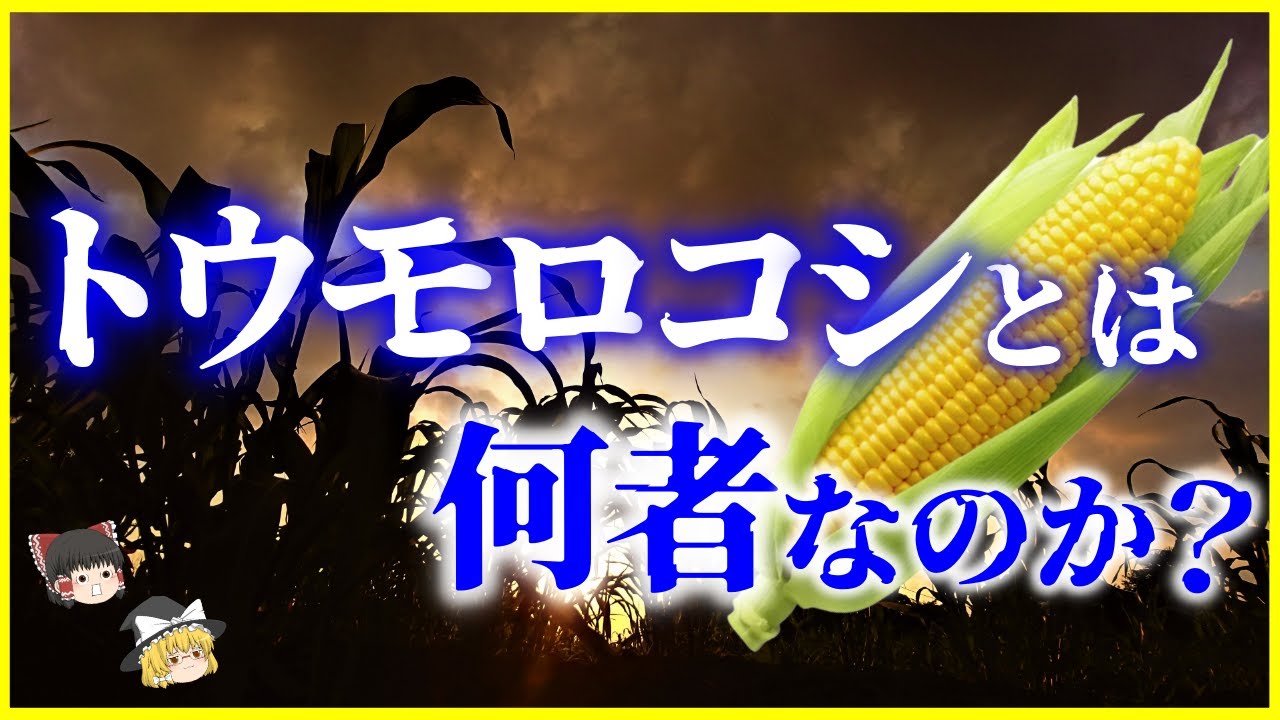 とうもろこし 宇宙 人