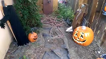 Halloween 2015 Haunt Build, Part 7 (Pumpkins!!!)