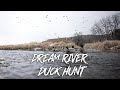 Beau hunting  freezing cold river duck hunt thousands of mallards