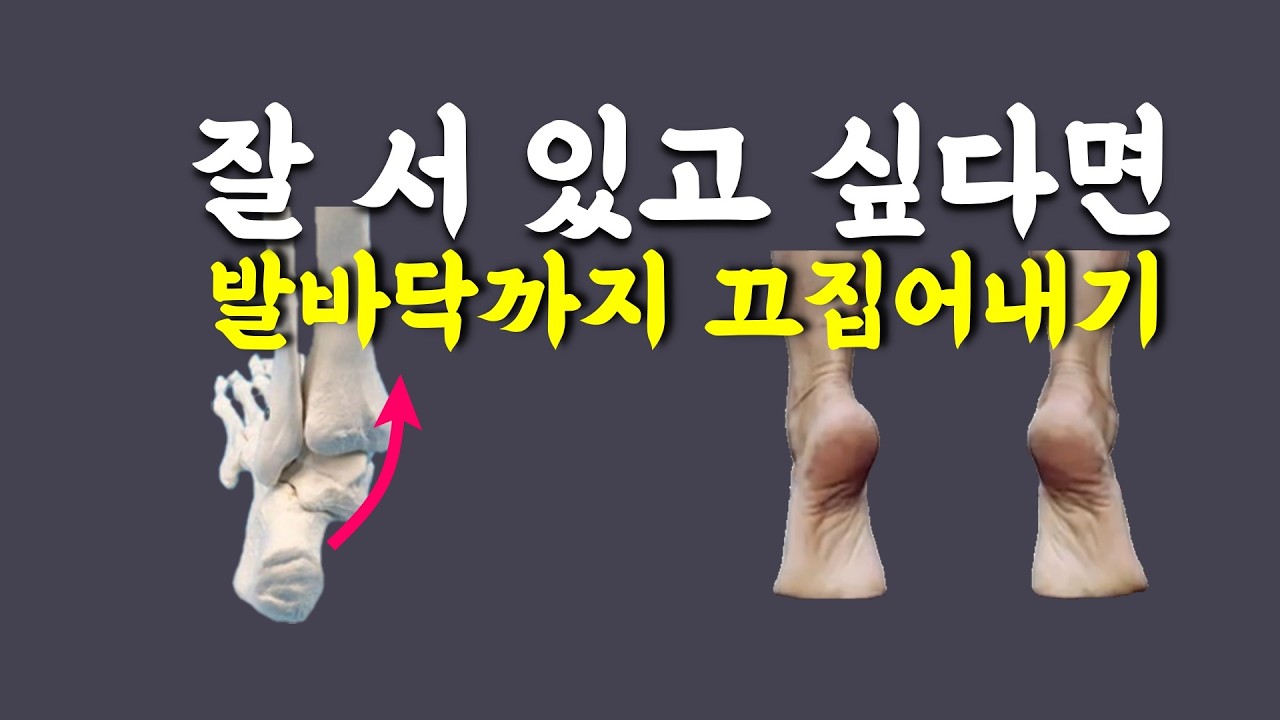 [ 마름모코어 시즌 3-84 ] 발바닥까지 끄집어내야 좌골이 압축되고 무릎이 펴져요!