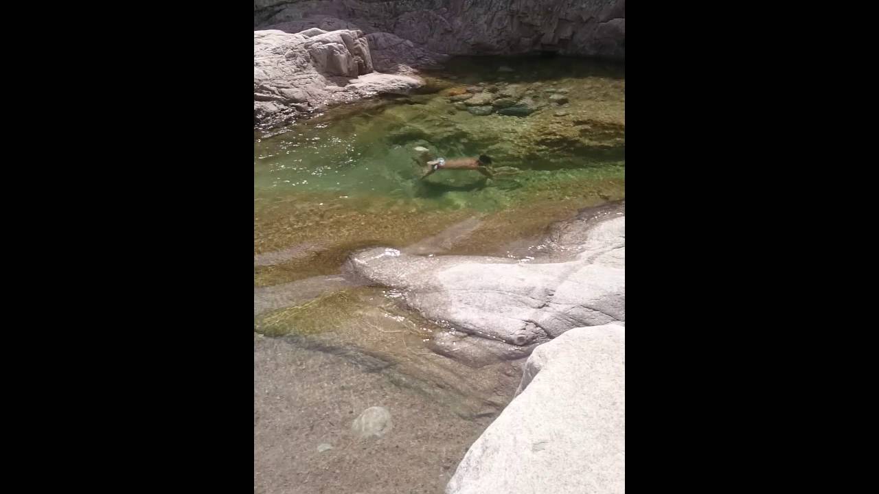 Eau translucide rivière du Cavu en Corse