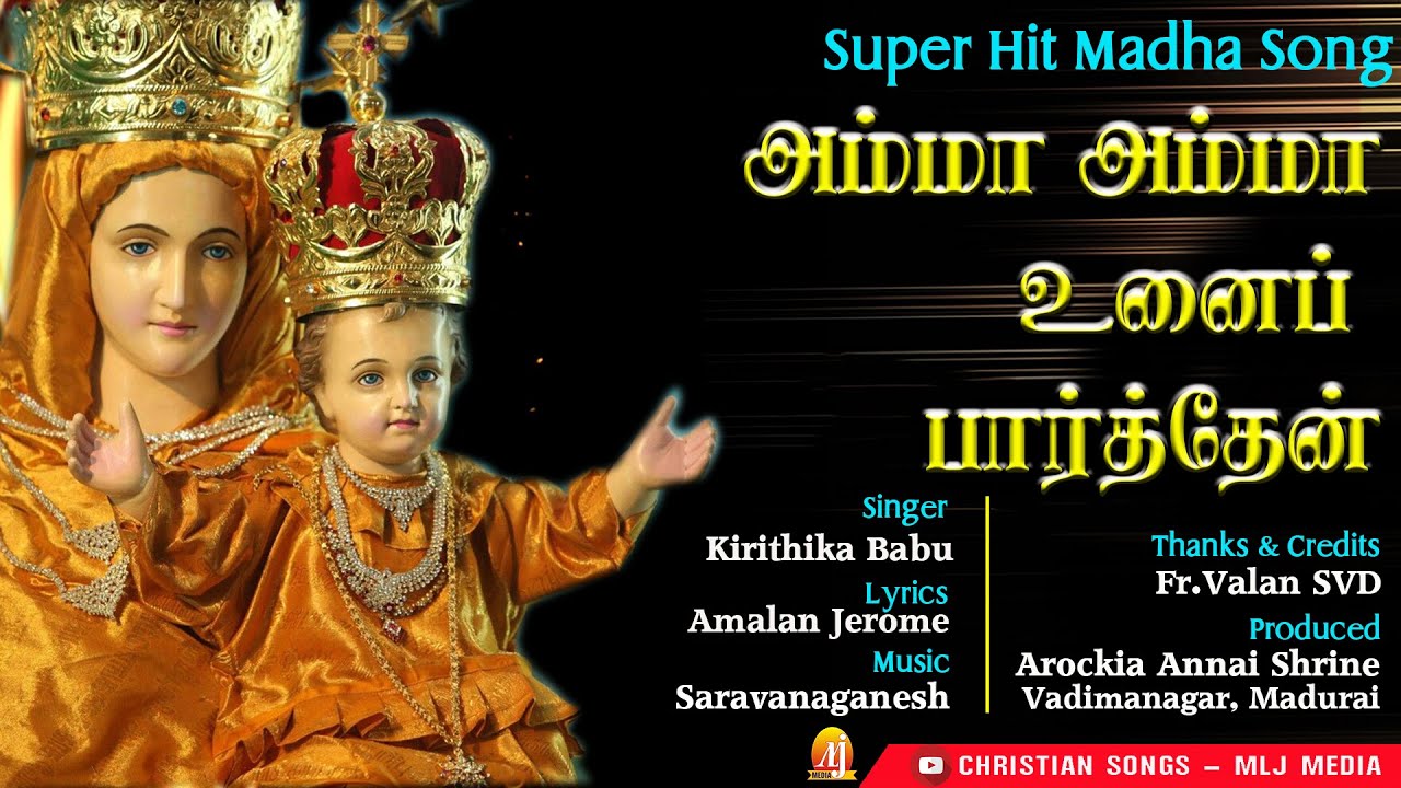 அம்மா அம்மா உனைப் பார்த்தேன்| வாடிமாநகர் மாதா பாடல் | துன்பம் தீர்க்கும் மாதா புகழ்பாடல் | MLJ MEDIA