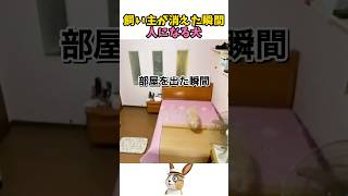 飼い主の前では正体を隠す犬