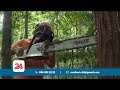Báo KTNT: Thúc đẩy kinh tế tuần hoàn thông qua Luật Bảo vệ môi trường