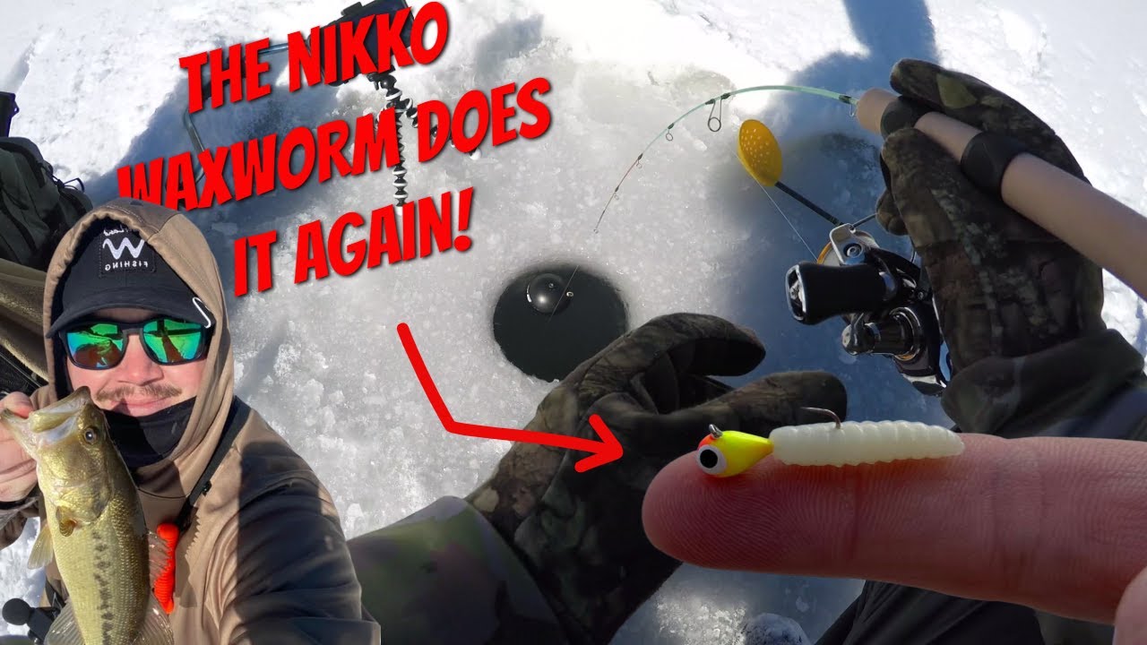 I hook into something BIG under the ICE on the Nikko Waxworm! ( I