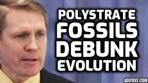 Kent Hovind - Polystrate Petrified Trees Debunk Evolution