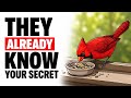 "The Birds In Your Yard Already Know Your Schedule, Your Face, And Your Mood"