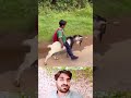 Unique Way to Go to School! A Boy Rides a Goat as His Transport
