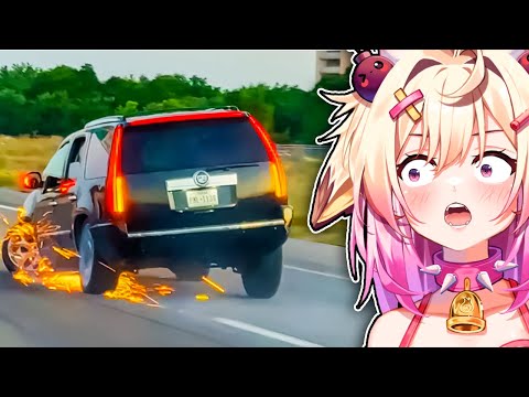 The DUMBEST Drivers! | Rosiebellmoo Reacts To Daily Dose