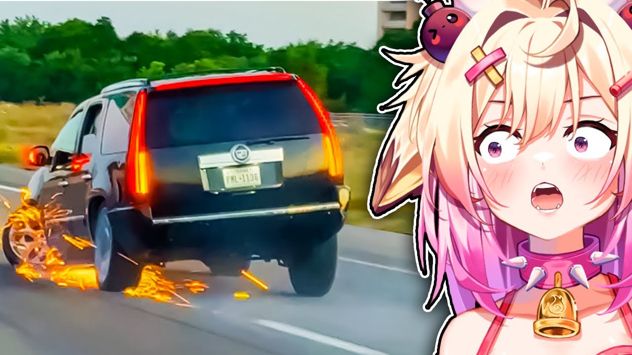 The DUMBEST Drivers! | Rosiebellmoo Reacts To Daily Dose