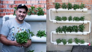How To Make inexpensive Hydroponic System and start Hydroponics Garden  At home 2021.