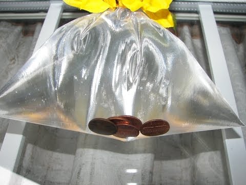 Get Rid of Houseflies - Pennies in Bag
