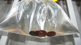 Get Rid of Houseflies  Pennies in Bag
