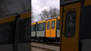 The New STADLER Rail Class 555 EMU for Tyne and Wear Metro Ⓜ transferred by RailAdventure | #shorts screenshot 4