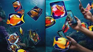 Catch the Fun With Go Fish Today! screenshot 5