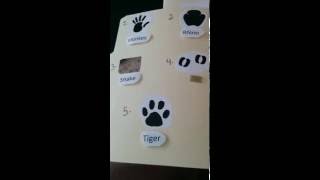 Celebrity File folder games part 2 Net Worth