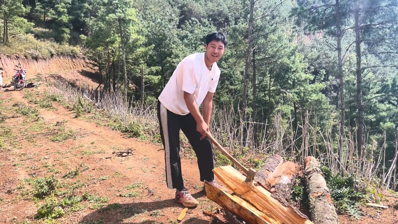 马上要过年了，这几天很多人都开始砍柴割草了，小弟今天去山上砍柴【凉山小弟】 - YouTube