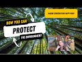 Protect Environment in Daily Life