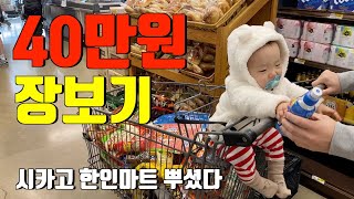 마트장보기 vlog  미국 한인마트 장보기 뿌시기 ‼ 미국 주부브이로그 / 역대급 미국물가 / 시카고여행