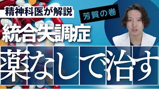 無の精神療法　薬によらない統合失調症の治し方　稲福薫　著 mqdefault.jpg
