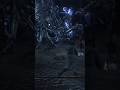 Bloodborne : Darkbeast  Paarl : Boss Fight