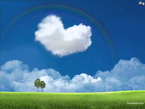 ჟღალი მიმინო