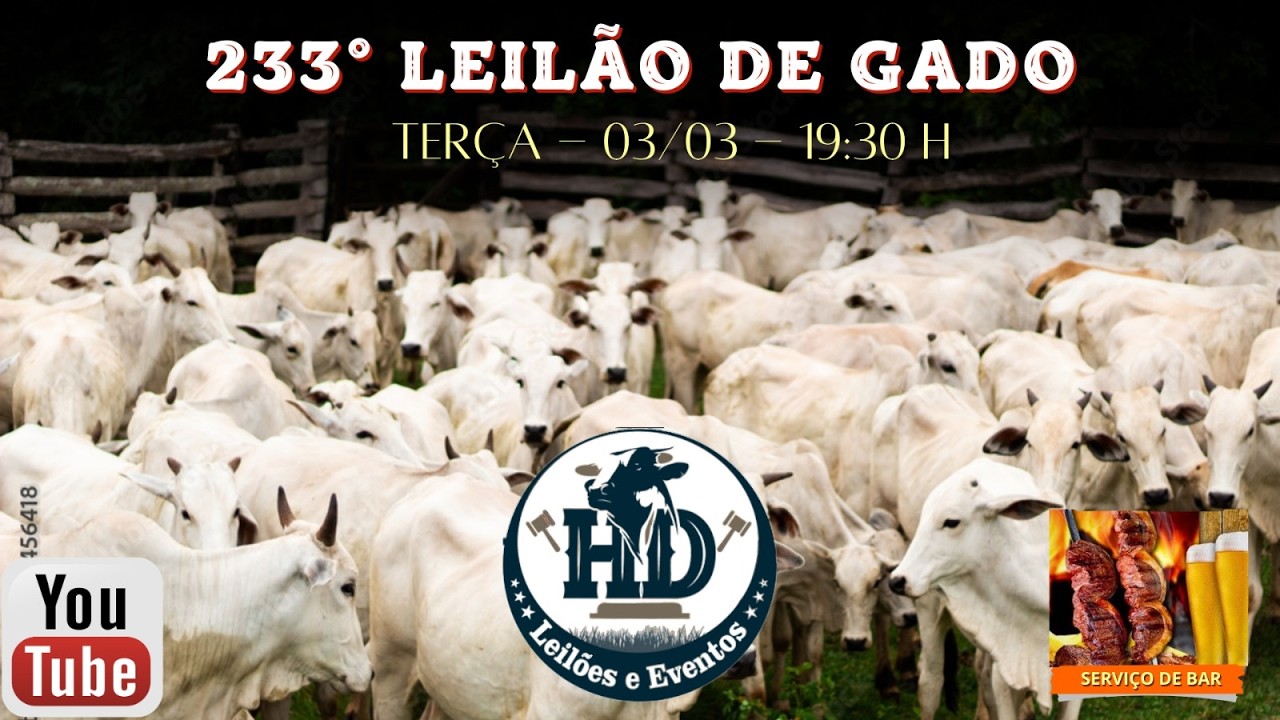 233° Leilão de GADO  - 03/03/2026 - ITAPORANGA/SP #agro #pecuaria #aovivo