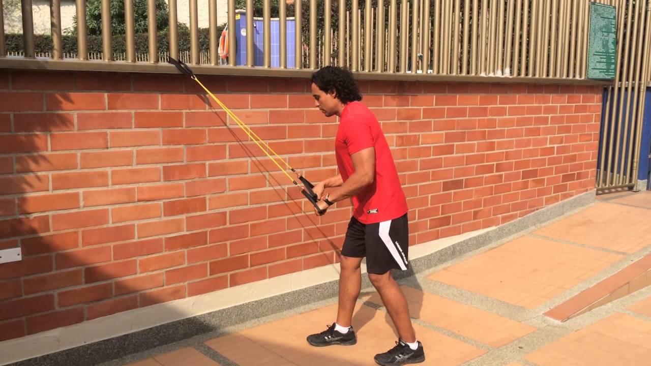 Extensión de codos con banda elástica calidad de vida en colombia pdf