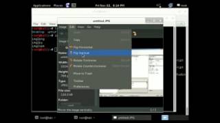 penetrating using Metasploit, Kali Linux