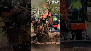Best Way To Remove Tree Roots