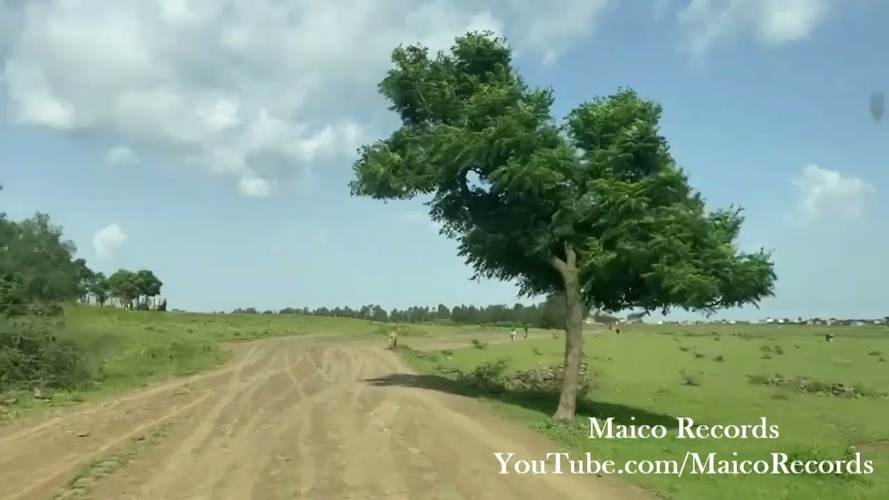 Road Trip Adi Bari To Kudo Felasi - Eritrea's Uncharted Odyssey