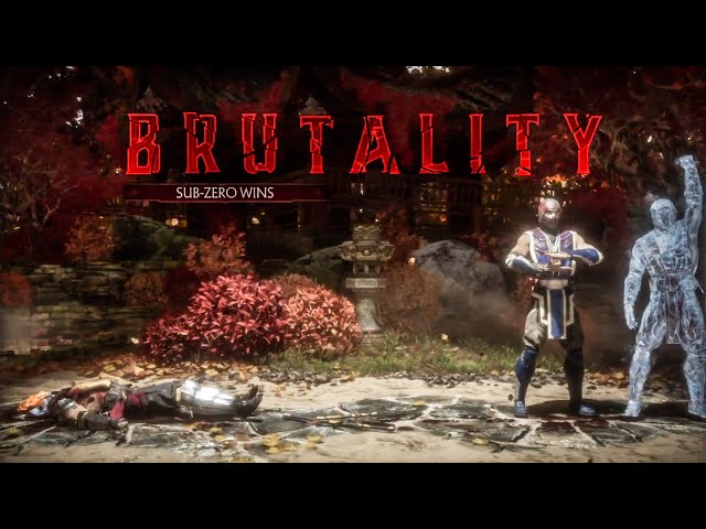 Mortal Kombat - Sub-Zero Flawless Victory on Make a GIF