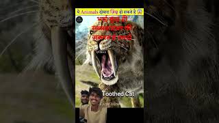 #facts #amazingfacts #animals #factsinhindi #wildlife #topfacts #knowledge #facts #viralvideo