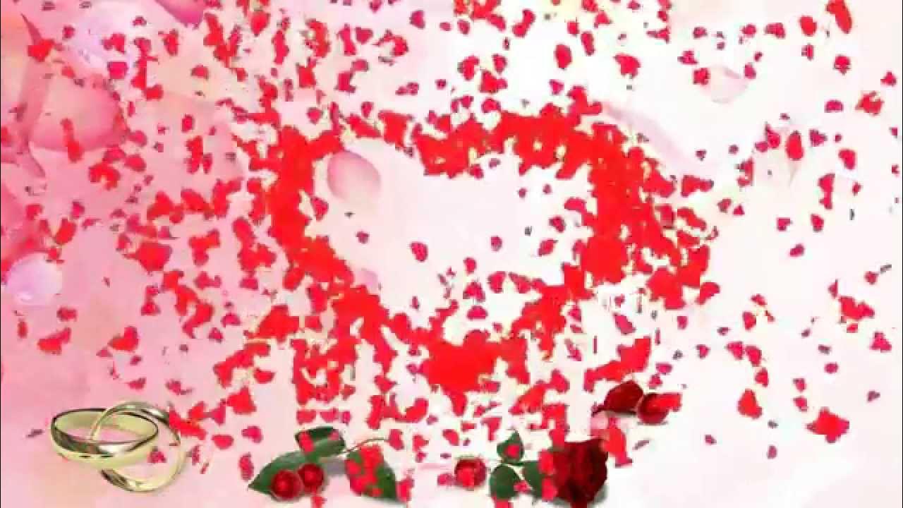 Футаж горько. Свадебный фон для слайд шоу. Футаж свадьба. Футаж годовщина свадьбы. Свадебный фон.