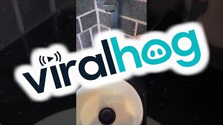 Linstallazione Domestica Non Funziona Come Previsto Viralhog