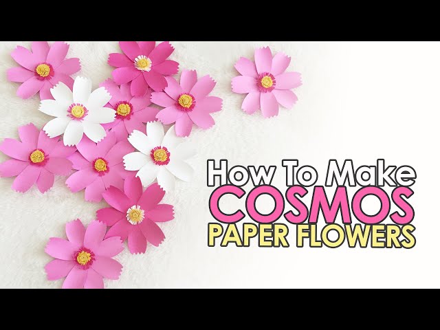 Paper Flower Kit - Cosmos. Papercraft kit for women. A creative