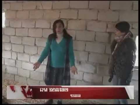 გულგულაში დაავადებამ ფრინველის 98% იმსხვერპლა