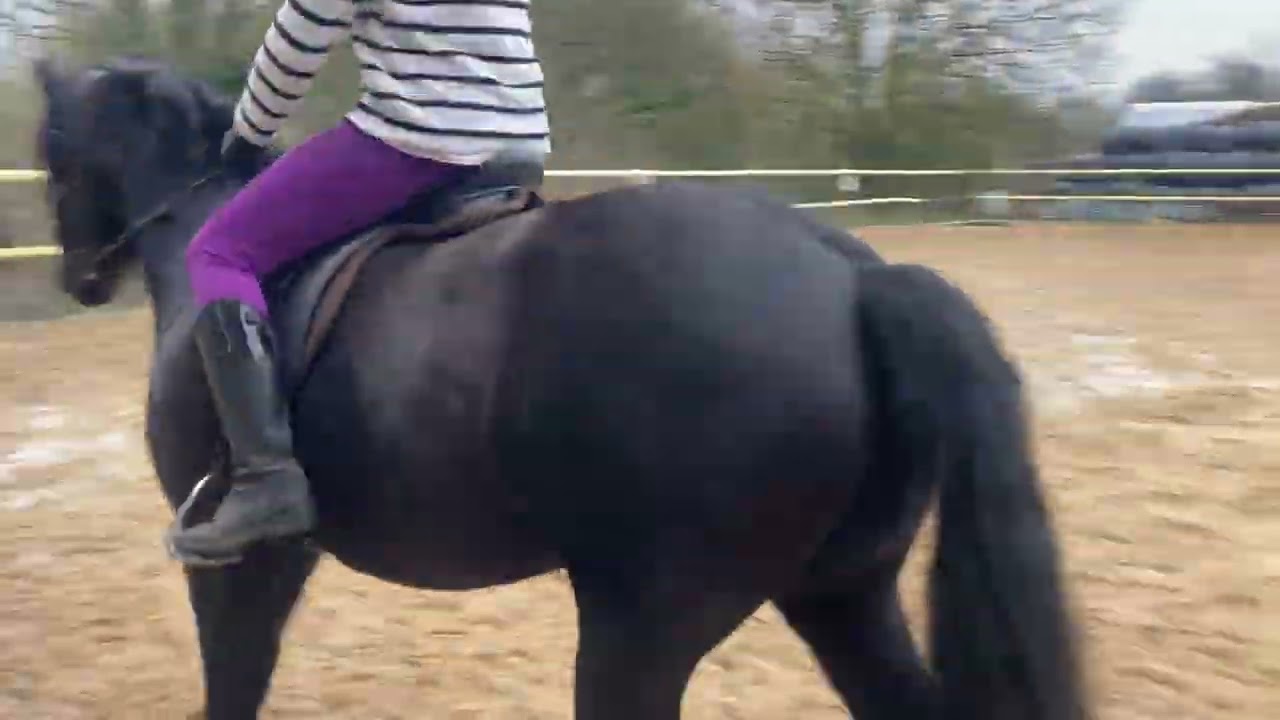 Melissa Middleton & Ace Intro 1 (ridden ) relaxed rules 