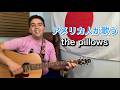 the pillows「レッサーハムスターの憂欝」【外国人弾き語り】