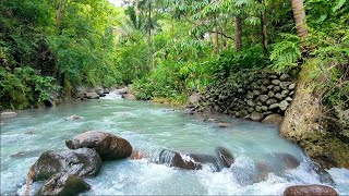 Soothing River Echo at Night | Gentle Nature Flow to Help You Sleep & Relax