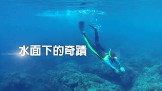 台灣中油股份有限公司永安液化天然氣廠珊瑚生態影片完整版