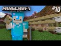 Puestos de FLECHEROS en el Trading Hall | Primera vez en Minecraft Bedrock #10